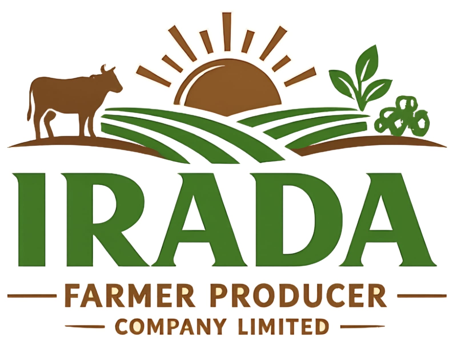 Organic farms avoid toxic inputs, improve soil health, grow clean, sustainable food that supports nature.